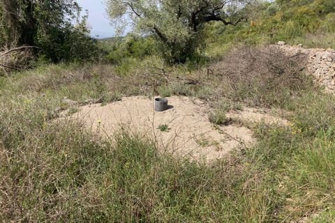 Landejendom i El Perello, Tarragona, El Perello - € 74.000 | Ref: FincaVistaValle - foto 7